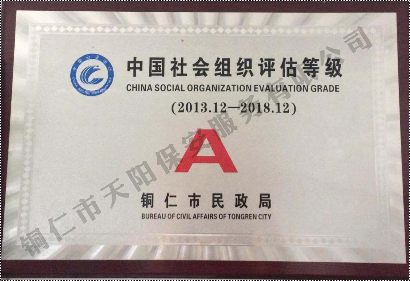 中國社會組織評估等級